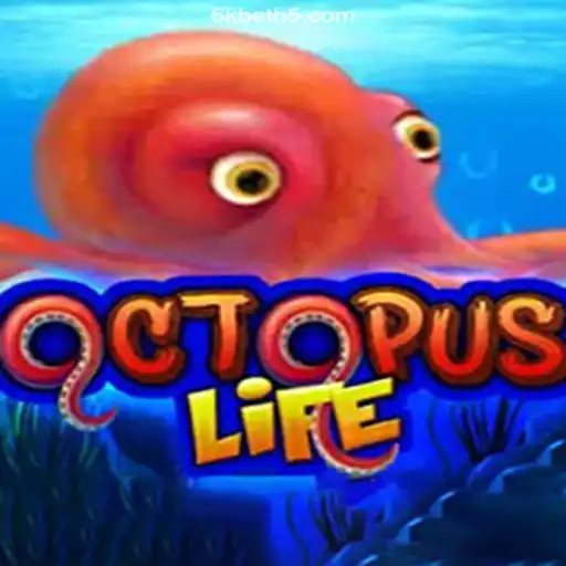 Exploring the Immersive World of OctopusLife: The Ultimate Brazilian Betting Experience